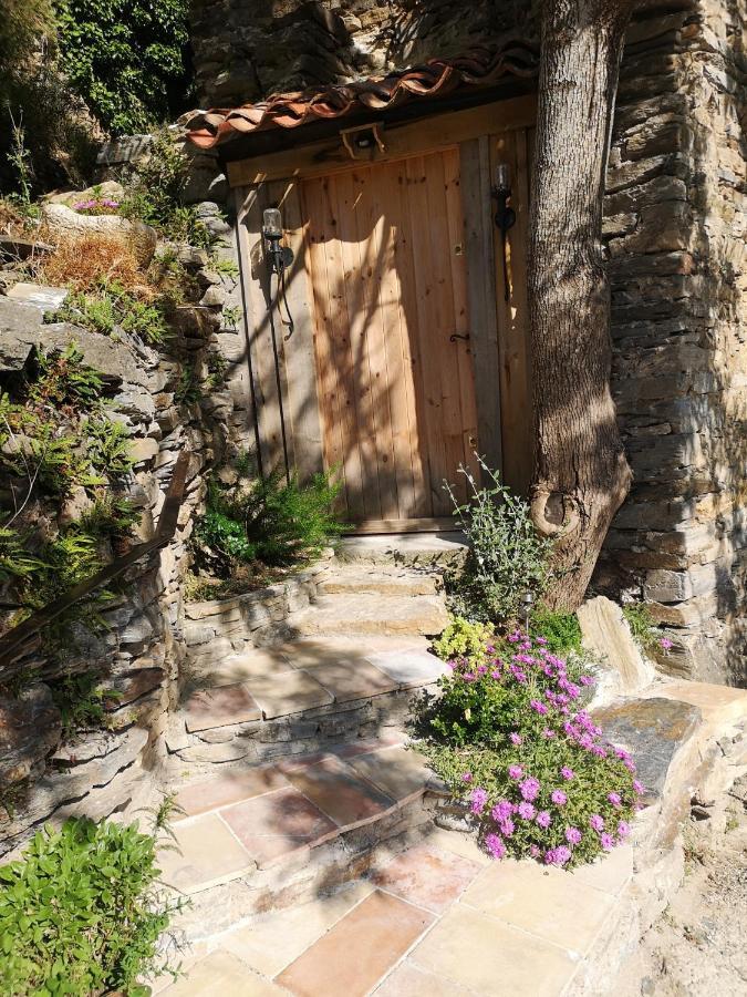 Les Citounelles Villa Dış mekan fotoğraf
